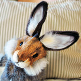 Hansa life size stuffed Black Tail Jack Rabbit