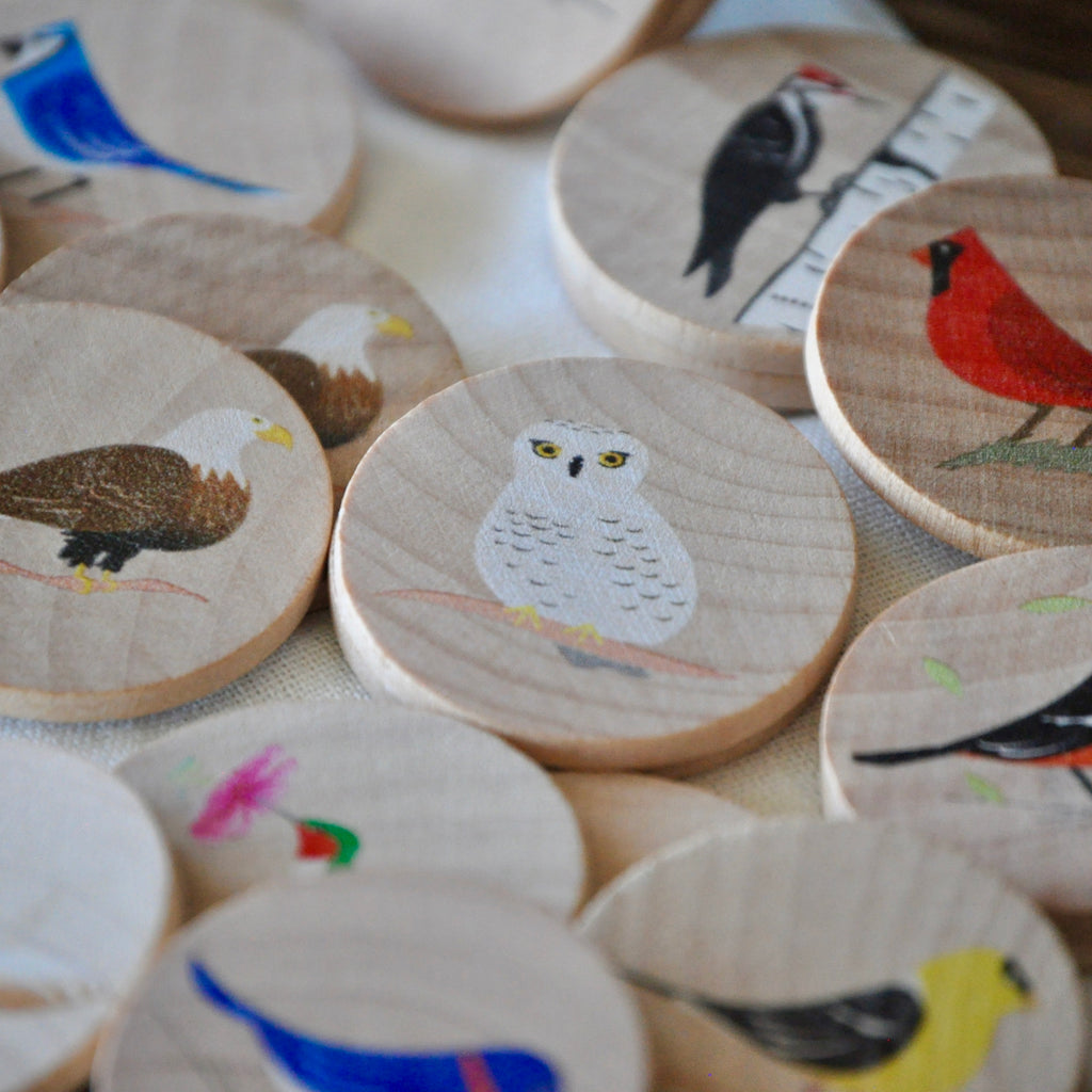 Memory Game Birds