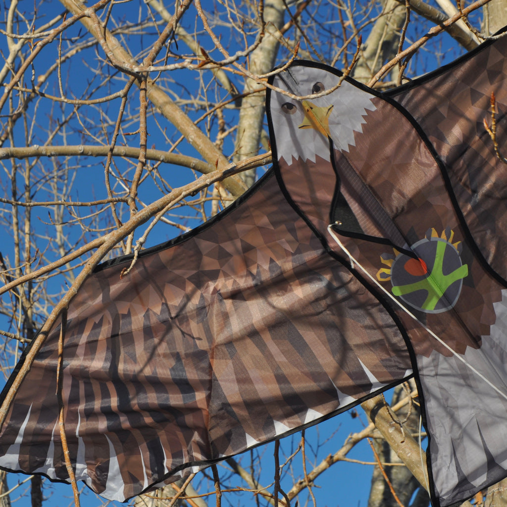 Bald Eagle Kite