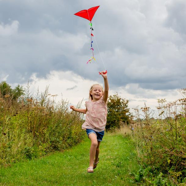 DIY Red Kite Kit