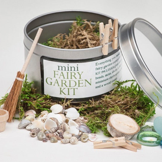 Fairy Garden Kit