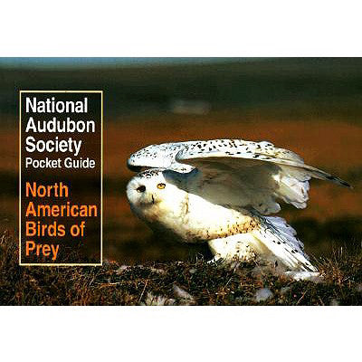 Pocket Guide to North American Birds of Prey