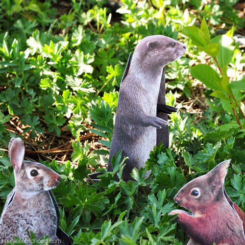 Paper Cut Outs Small Wildlife