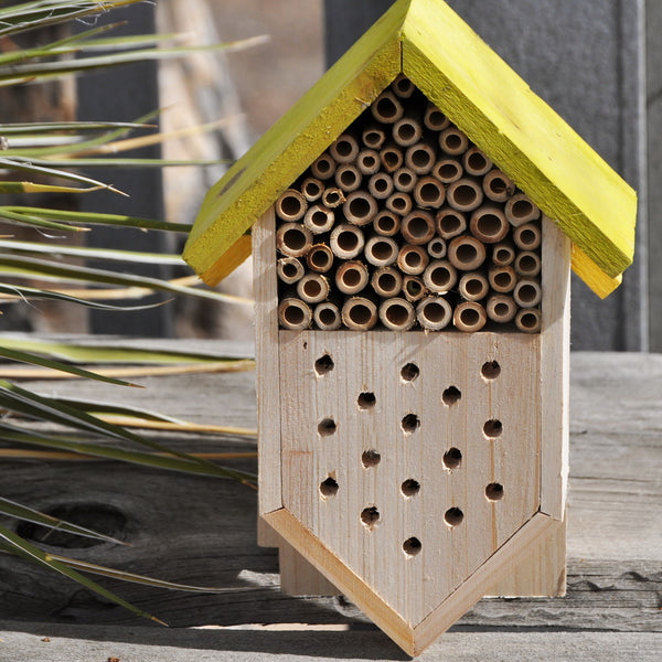 Small Bee and Ladybug House