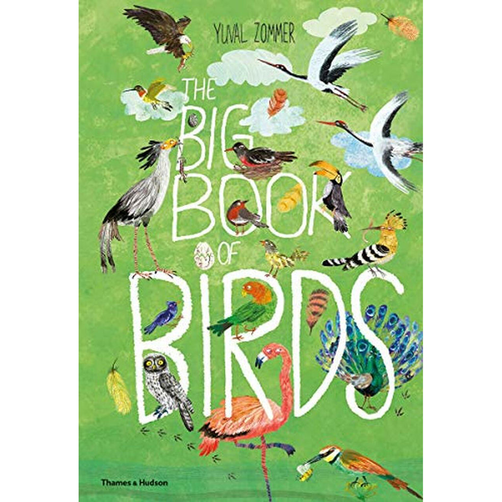 The Big Book of Birds is a fact-filled tour of the world's most wonderful winged creatures.