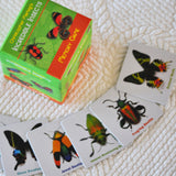 Sharpen your recall with this two or more player game. Using 36 of designer Christopher Marley’s incredible insects, this memory game includes images of beautiful beetles, butterflies, moths, damselflies, weevils, and more.