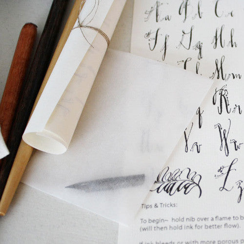 Luxury Beginners Calligraphy Kit — Kate Illustrate