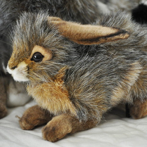 Bring a little nature inside with this lifelike plush jackrabbit. A common jackrabbit of grasslands and open areas of the western United States; it has large black-tipped ears, a black streak on the tail, and would love to make its way into your child's heart! Each is individually hand crafted, true to life animal.