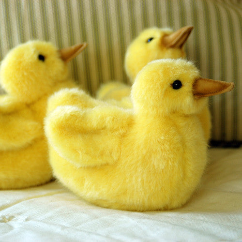 Yellow Duckling