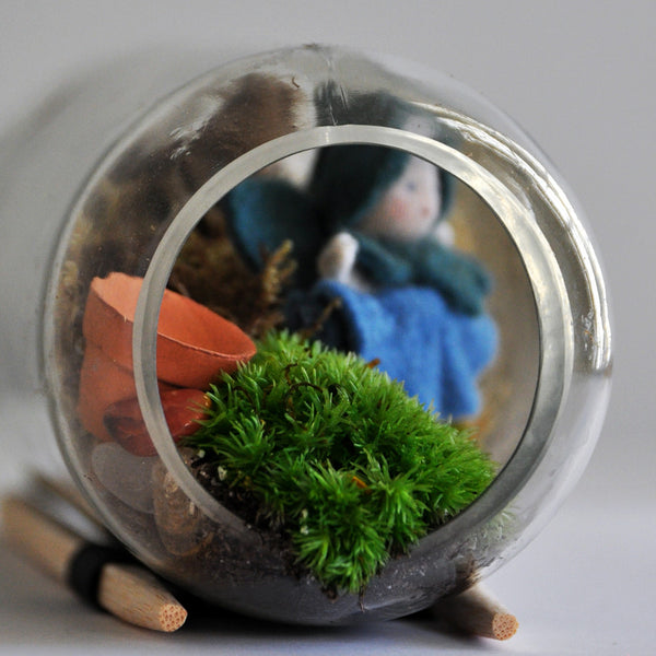 Eco-Friendly Terrarium Kit