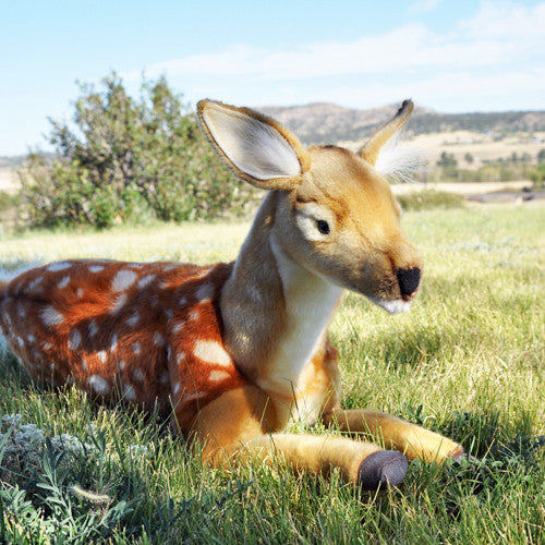 This speckled little fawn (a young White-Tailed Deer), is just as sweet as sweet can be. Oh so soft, it's perfect for snuggling during story time. Individually hand crafted, true to life