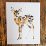 Woodland Fine Art Prints