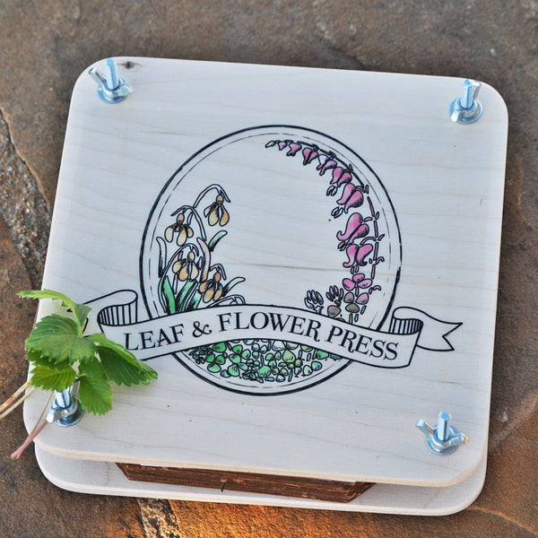 Wooden Flower Press Kit For Kids, Plant Specimen Pressing For Beginne Set  C1W4 