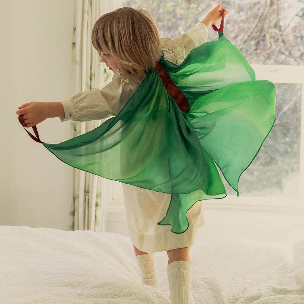 Fairy Wings