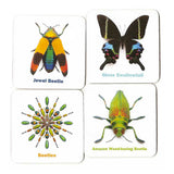 Sharpen your recall with this two or more player game. Using 36 of designer Christopher Marley’s incredible insects, this memory game includes images of beautiful beetles, butterflies, moths, damselflies, weevils, and more.