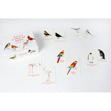 Match the male and female pairs of 25 species of birds from around the world in this beautifully illustrated memory game.