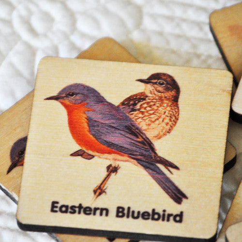 This wooden Bird Matching Game combines memory building skills with bird images of North America Birds.