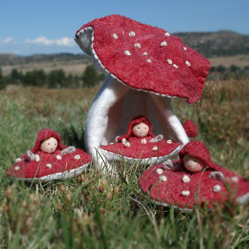 Mushroom Fairy House