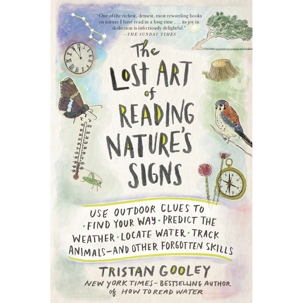 The Lost Art of Reading Nature's Signs