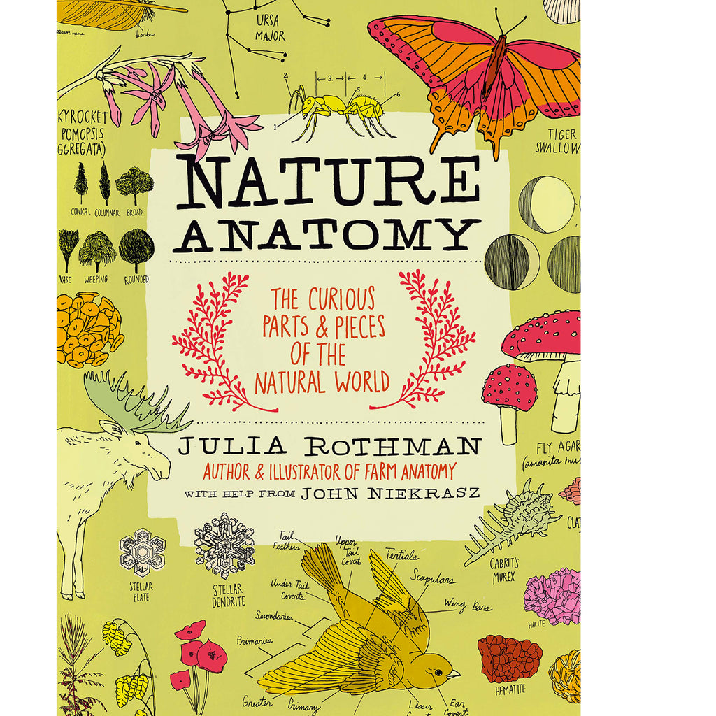 Nature Anatomy Activities for Kids