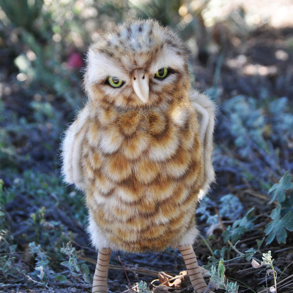 Hansa Plush  Realistic Burrowing Owl has a moveable head and bendable feet.