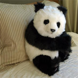 Sitting Panda Cub