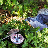 Paper Cut Outs Birds of Prey