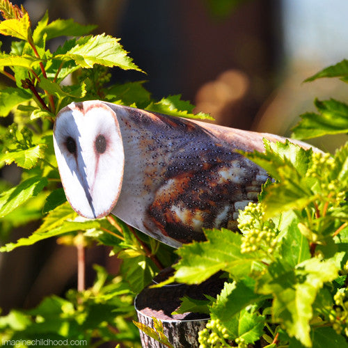 Paper Cut Outs Birds of Prey