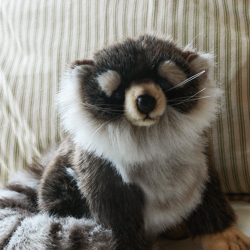 big stuffed raccoon