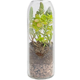 Eco-Friendly Terrarium Kit