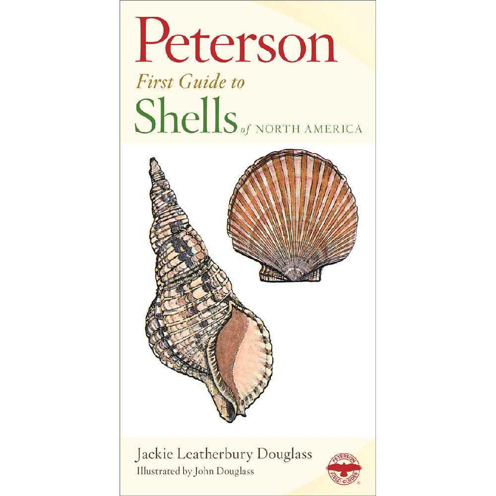 Peterson First Guide to Shells of North America