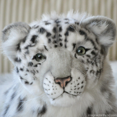 Snow Leopard Cub