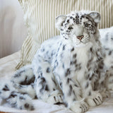 Snow Leopard Cub