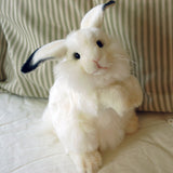 Arctic Hare