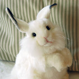 Arctic Hare
