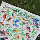 A beautiful bandana, that displays 22 Songbirds of North America. Their latin names are also given.
