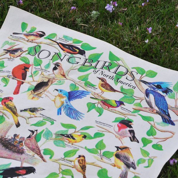 A beautiful bandana, that displays 22 Songbirds of North America. Their latin names are also given.