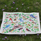 A beautiful bandana, that displays 22 Songbirds of North America. Their latin names are also given. 