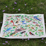 A beautiful bandana, that displays 22 Songbirds of North America. Their latin names are also given.