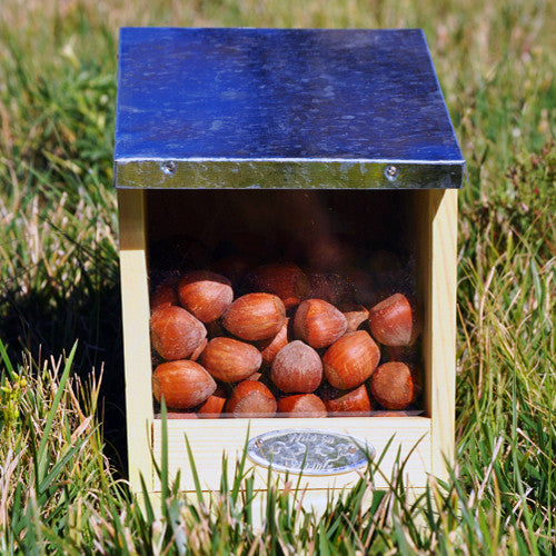 Squirrel Feeder