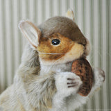 Hansa Squirrel