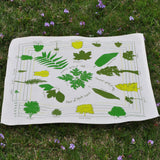 Trees of North America Bandana