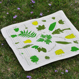 Trees of North America Bandana