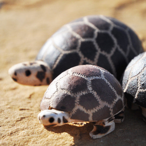 Turtle Wingo Shaker