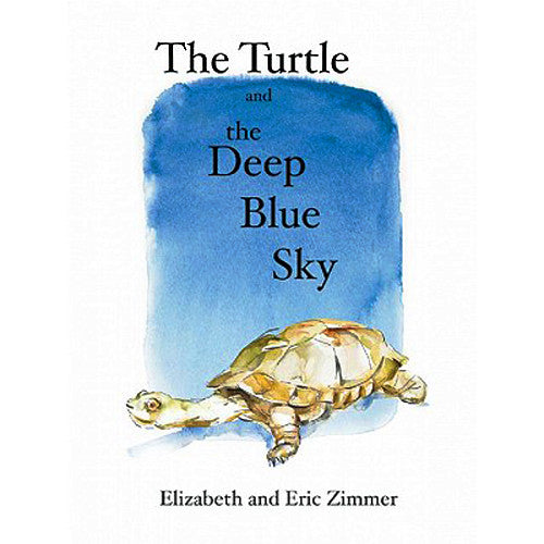 The Turtle and the Deep Blue Sky