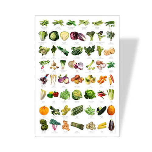 Vegetable Poster