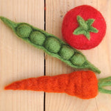 Veggie Felting Kit