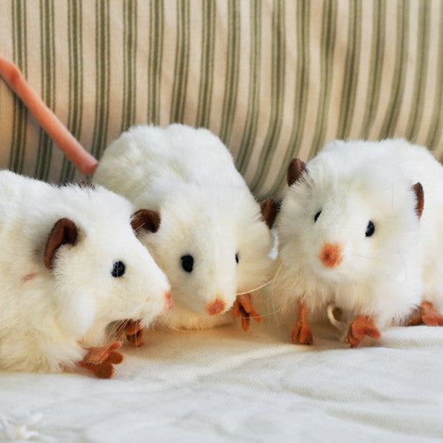 White Mouse