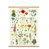 Wildflower Poster