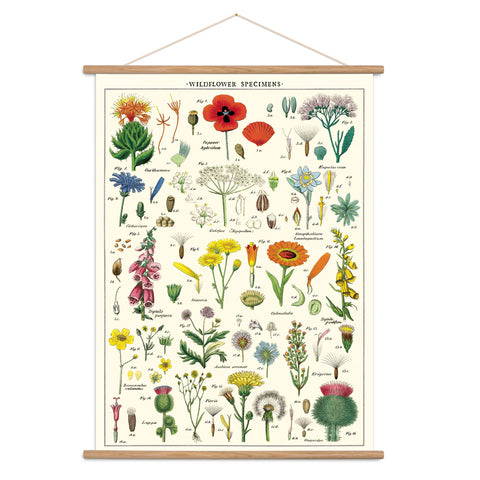 Wildflower Poster